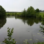 Stawy