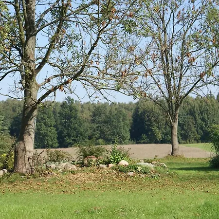Stawy Villa *